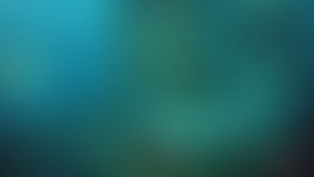 Caisson Guide – Cleaning, Inspection and Centraliser Installation