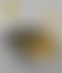 Solution Provider For Complex ATEX‑Rated Access, Handling & Hoisting Equipment Challenges!