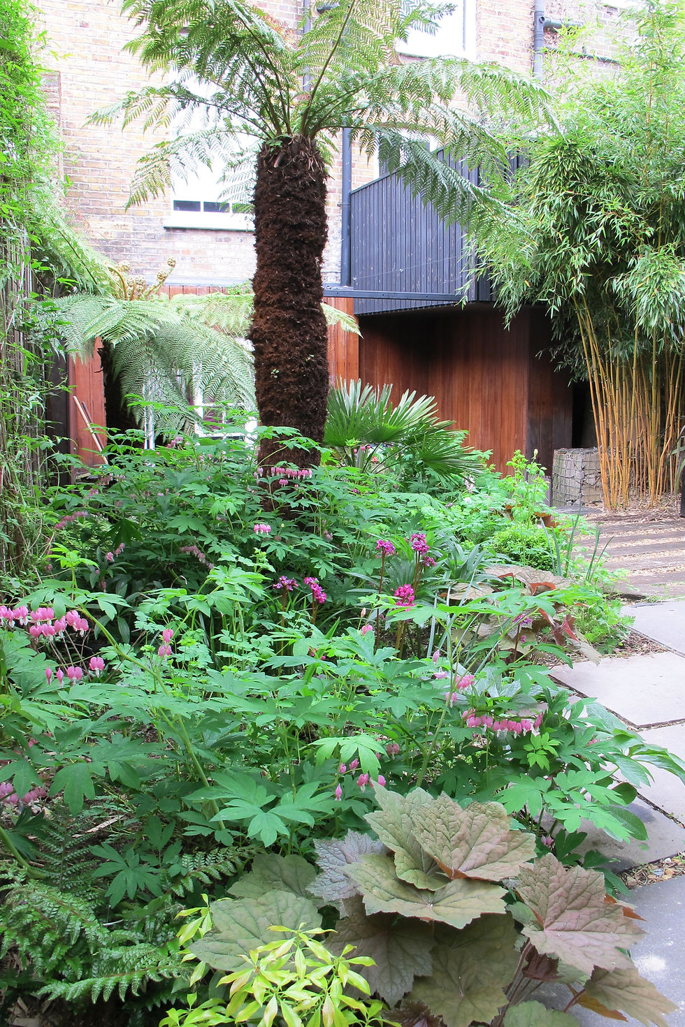 Jungle Garden 6