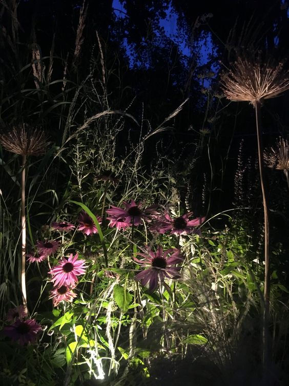 Prairie Garden 9