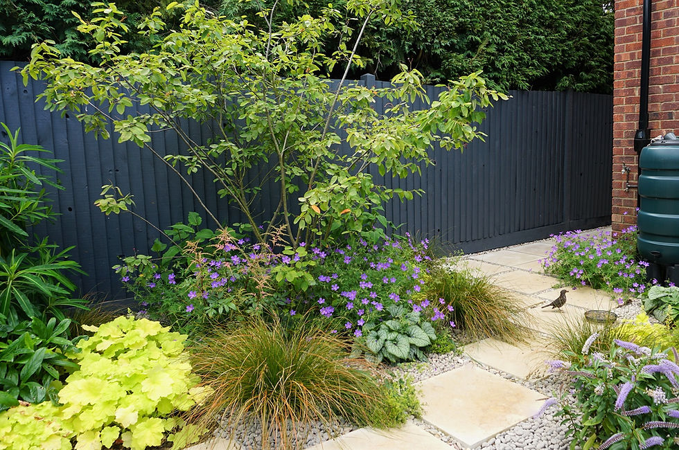 Wildlife Garden 10