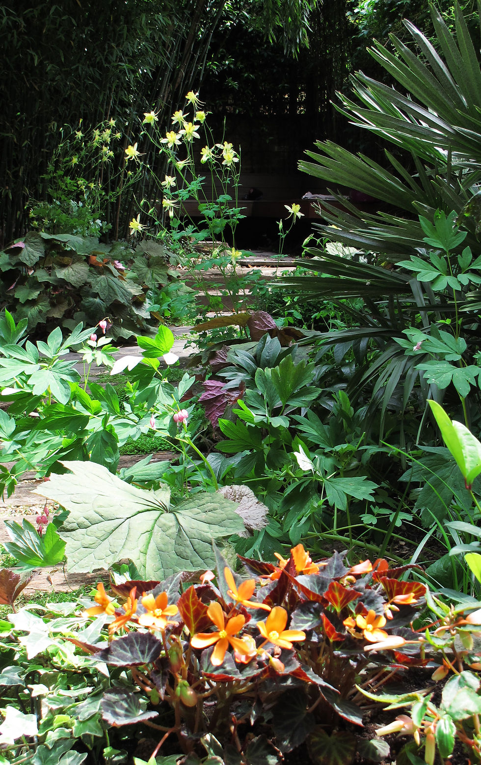 Jungle Garden 3