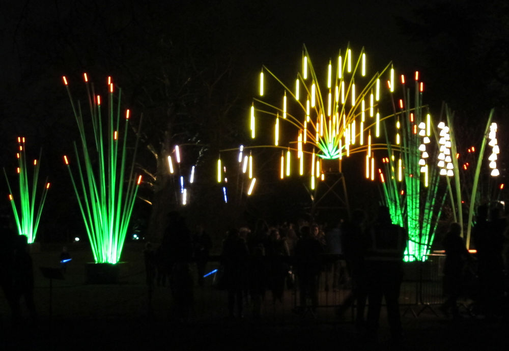 Kew Gardens Xmas Lights Trail