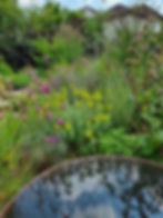 Social Garden 14