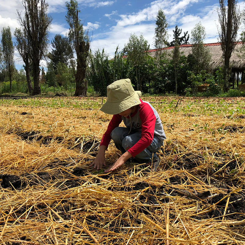 Experiências nativas são a atração principal da Arca Tierra, perto da capital mexicana - Foto: Arca Tierra/ Divulgação