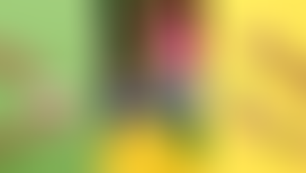 Oh My! Brazil amplia Brazilian Mania com novos finalizadores