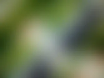 Aerial view of a modern building complex featuring extensive green rooftops and lush landscaping, showcasing a harmonious blend of architecture and nature.