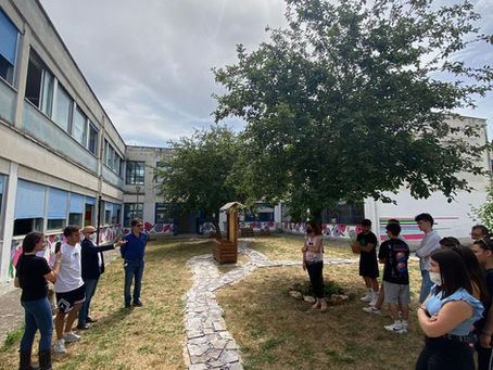 𝗟𝗲 𝗽𝗮𝗿𝗼𝗹𝗲 𝗱𝗲𝗹𝗹𝗮 𝗺𝗼𝗻𝘁𝗮𝗴𝗻𝗮