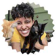 Fundo Transparente.png