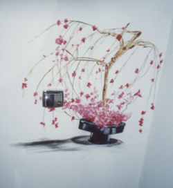 Ikebana s/parede