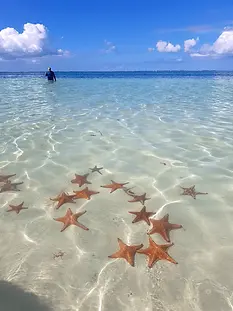 best-beaches-cayman-isands.webp