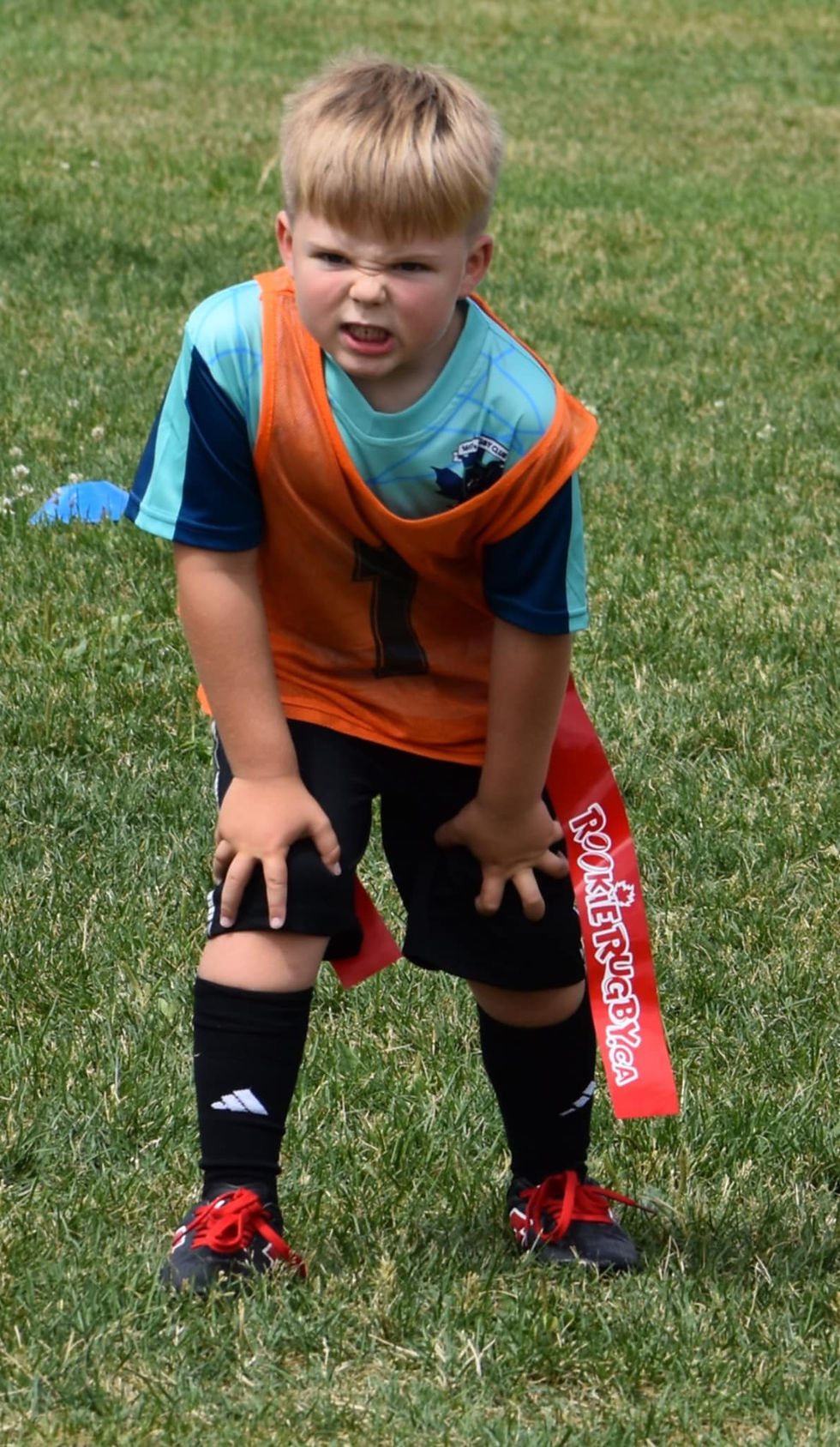 95133022-297a-46ba-aa32-a8050466e805