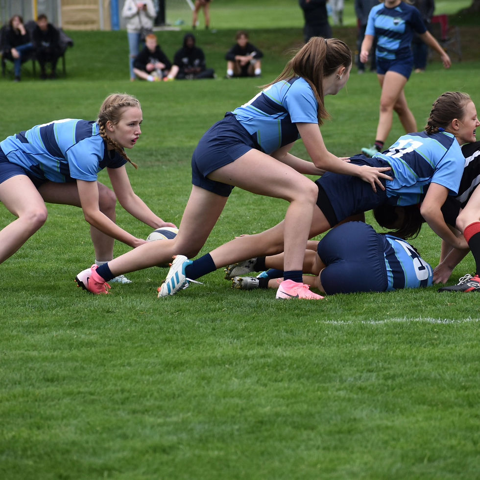 460851056_502216099261304_1994868217814519520_n