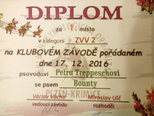 24131850_1278363275601565_20024984664502
