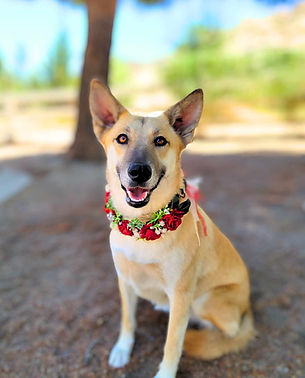 495270433_579152461897868_6451659939106927956_n (1).jpg