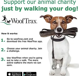 wooftrax-2020-v1-instagram-1080x1080_orig.webp