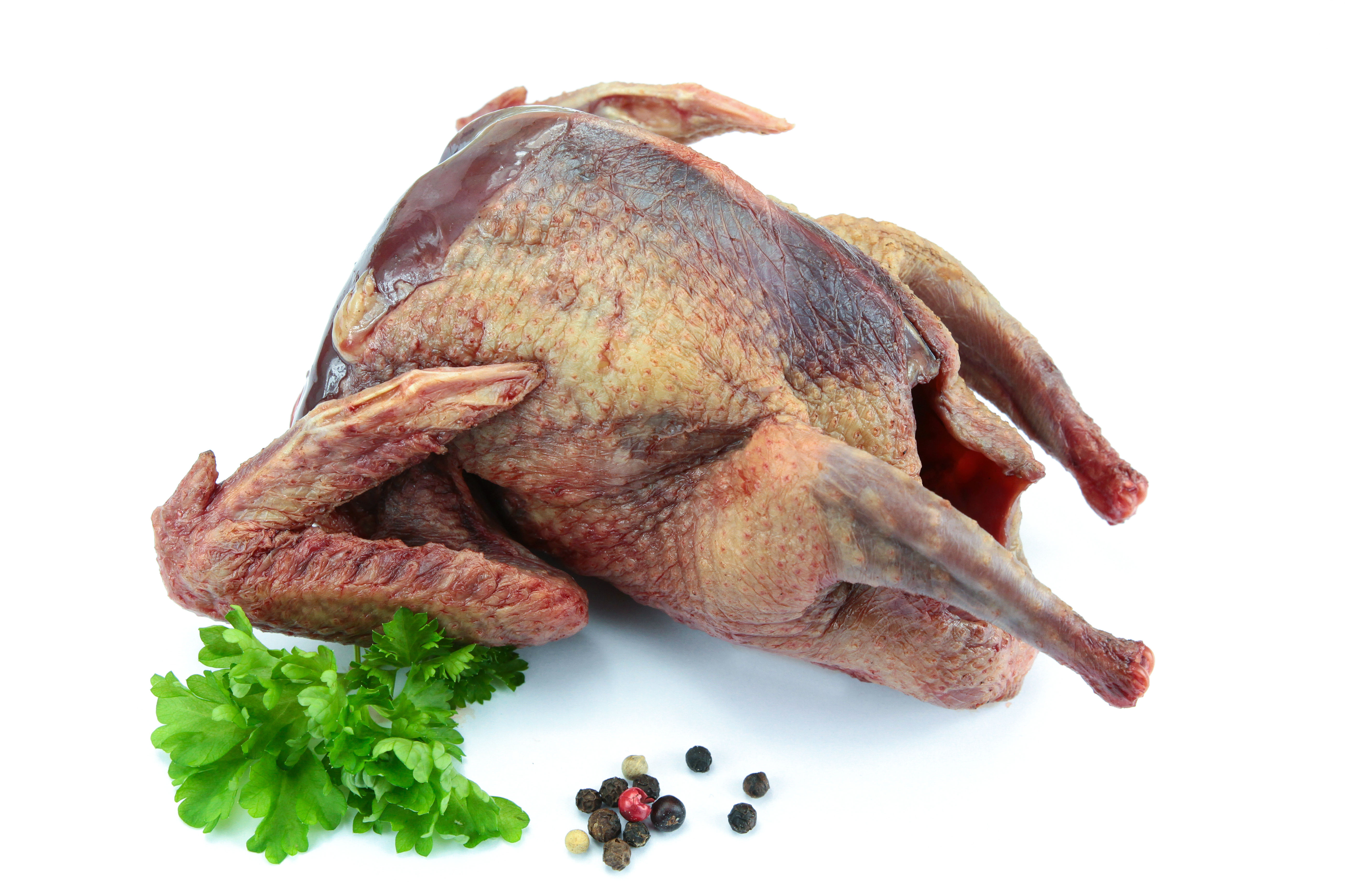 Wood Pigeon breast 