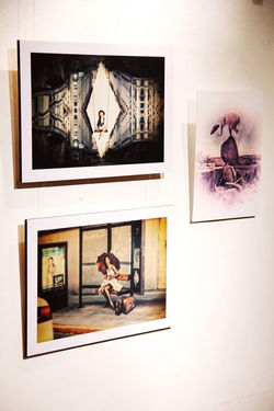 11879108_409692999222473_8494505953491733061_o