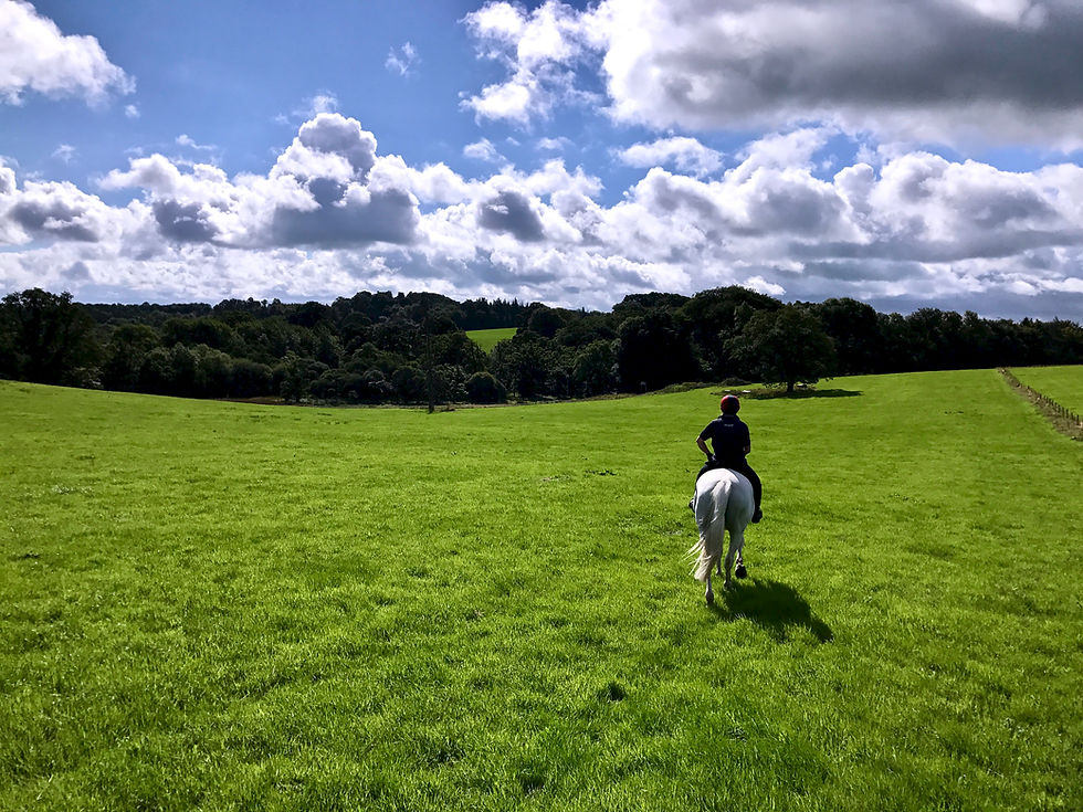 Cross country horse riding at Castle Leslie Ireland