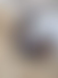 明日は小屋入り!