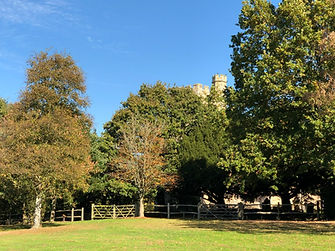 image3 - Copy (2).jpeg