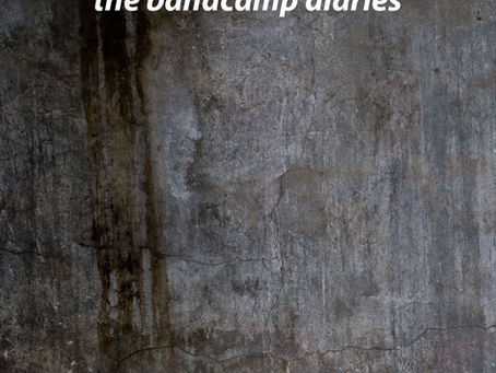 NEW REVIEW OF POLICY OF TRUTH IN THE BANDCAMP DIARIES