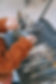 320721913_1372461663497936_6204255694850041391_n.jpg