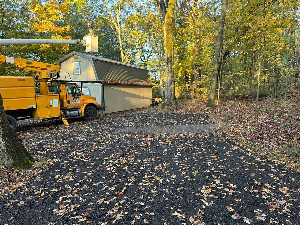 fall install.jpg