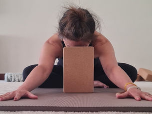 Why We Move: The Heart Behind Every Reformer, Stretch & Breath