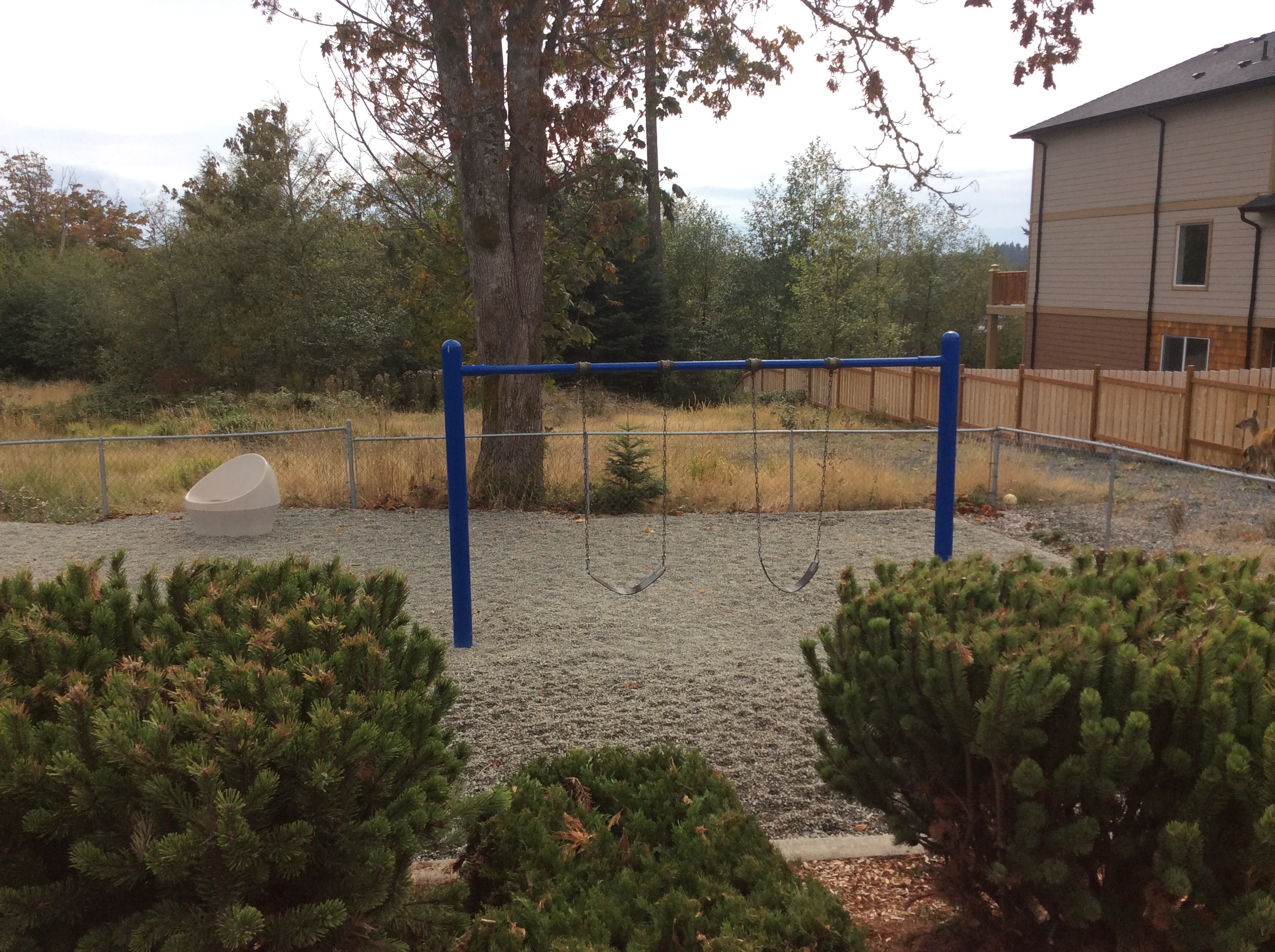 Group Daycare Backyard