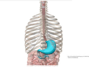 Magenschleimhautentzündung - Gastritis