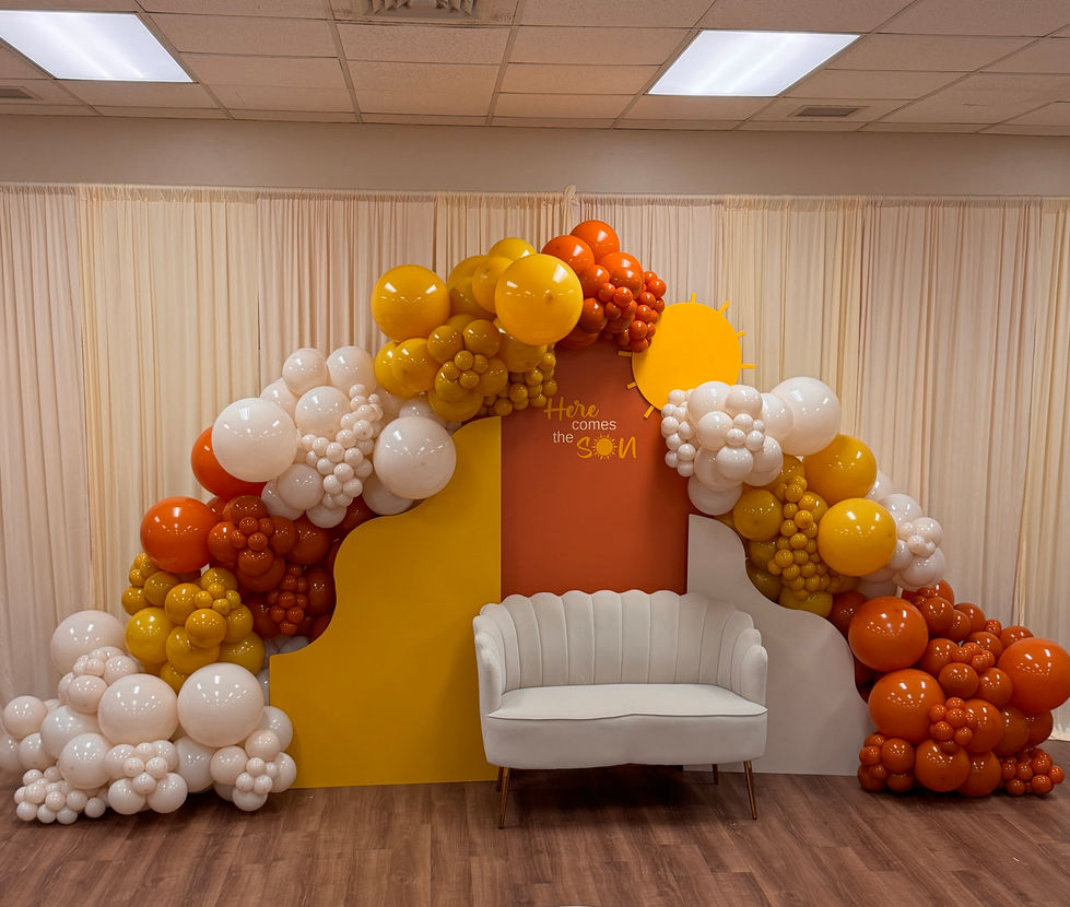 Baby Shower Backdrop