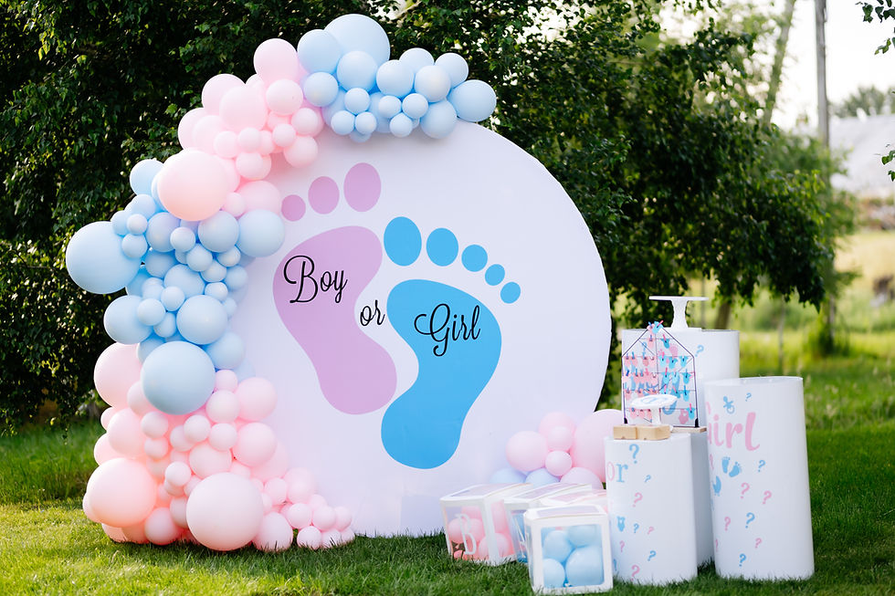 photozone gender party, boy or girl.jpg