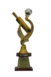 Guest of Honor, Mr. Suresh Garg, 21st North India Veer Shivaji Cricket Champions, 2017