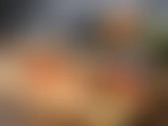 Кое суши е подходящо за начинаещ?