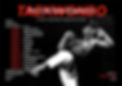 The Jidokwan Experience Cover Page_cropped_edited.jpg