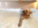 Photoroom_20251004_152247.jpeg