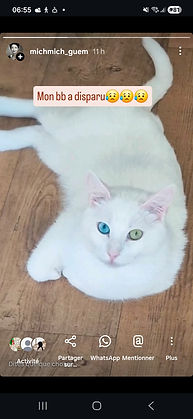 Simba