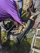 IMG-20221028-WA0006.jpg