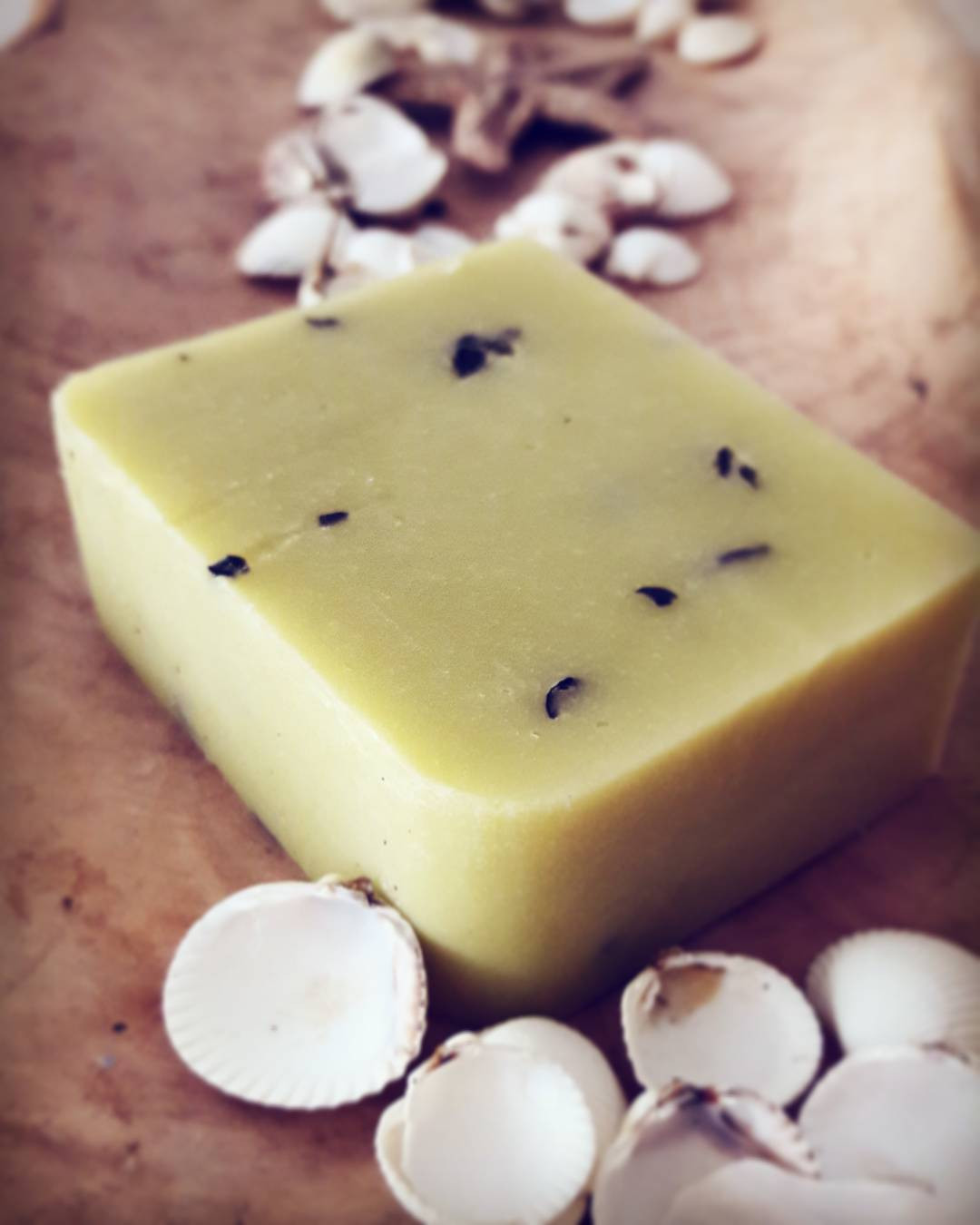 Savon au sable et aux algues