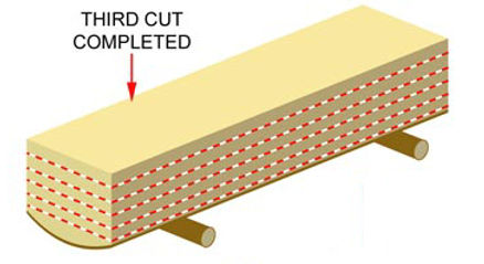 How To Use An Alaskan Saw Mill_05.jpg