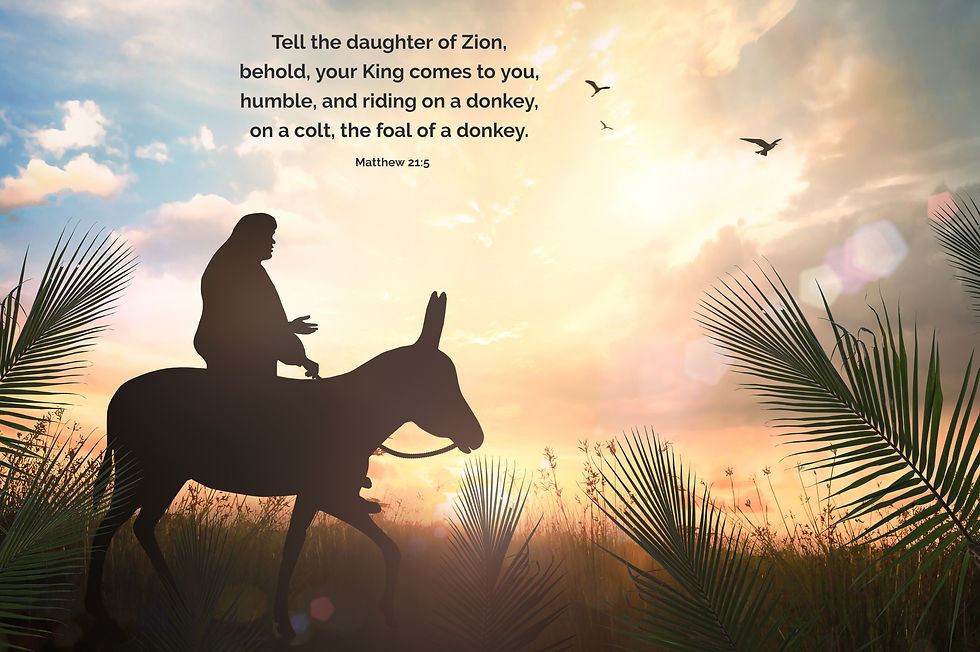 matthew 21