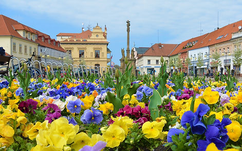 AdobeStock_144227139_edited.jpg