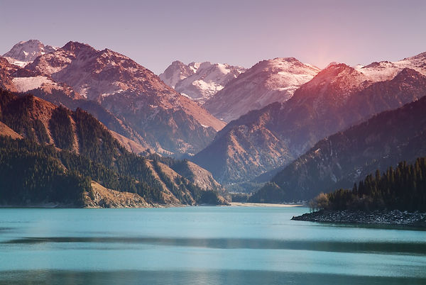 iStock-1209819085.jpg