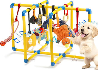 Puppy gym