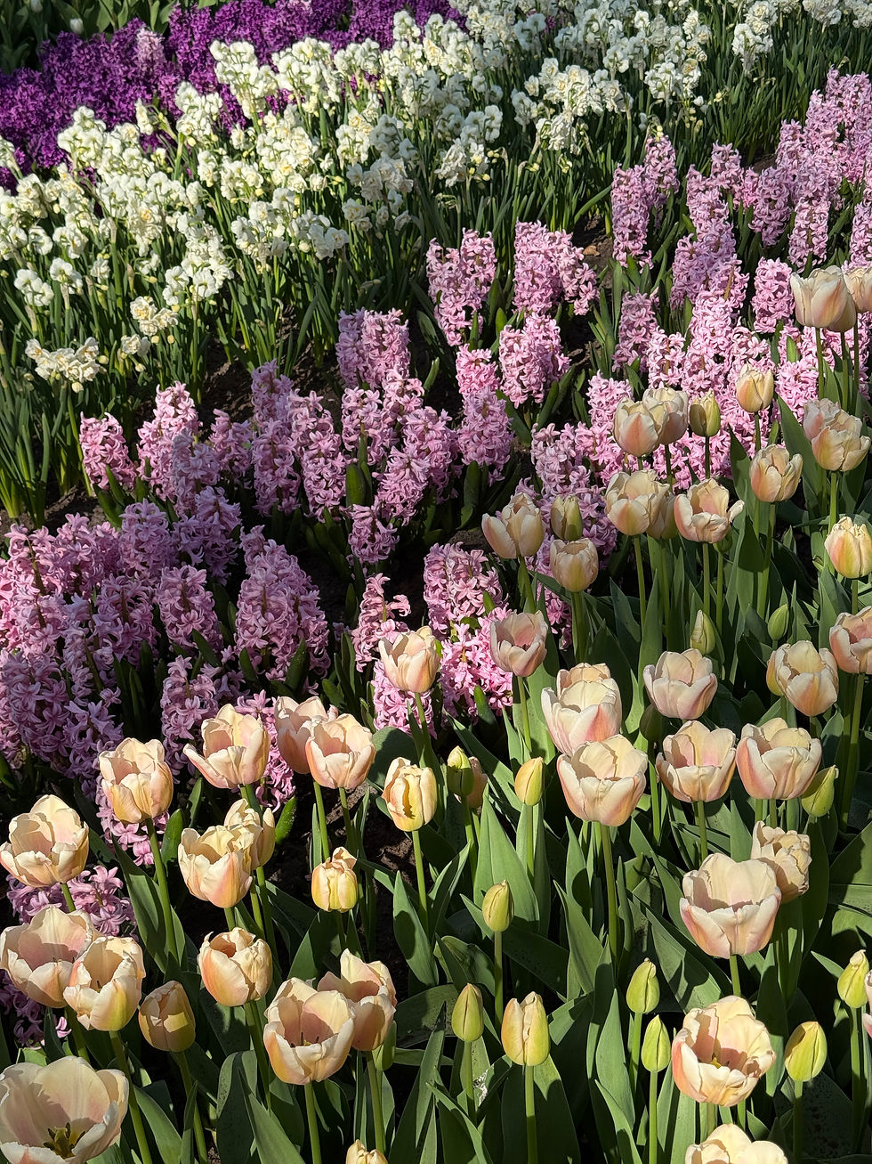 Top Real Estate Tips for Spring