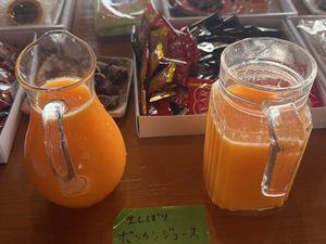 屋久島　ウルトラエコマラニック2026.1.11