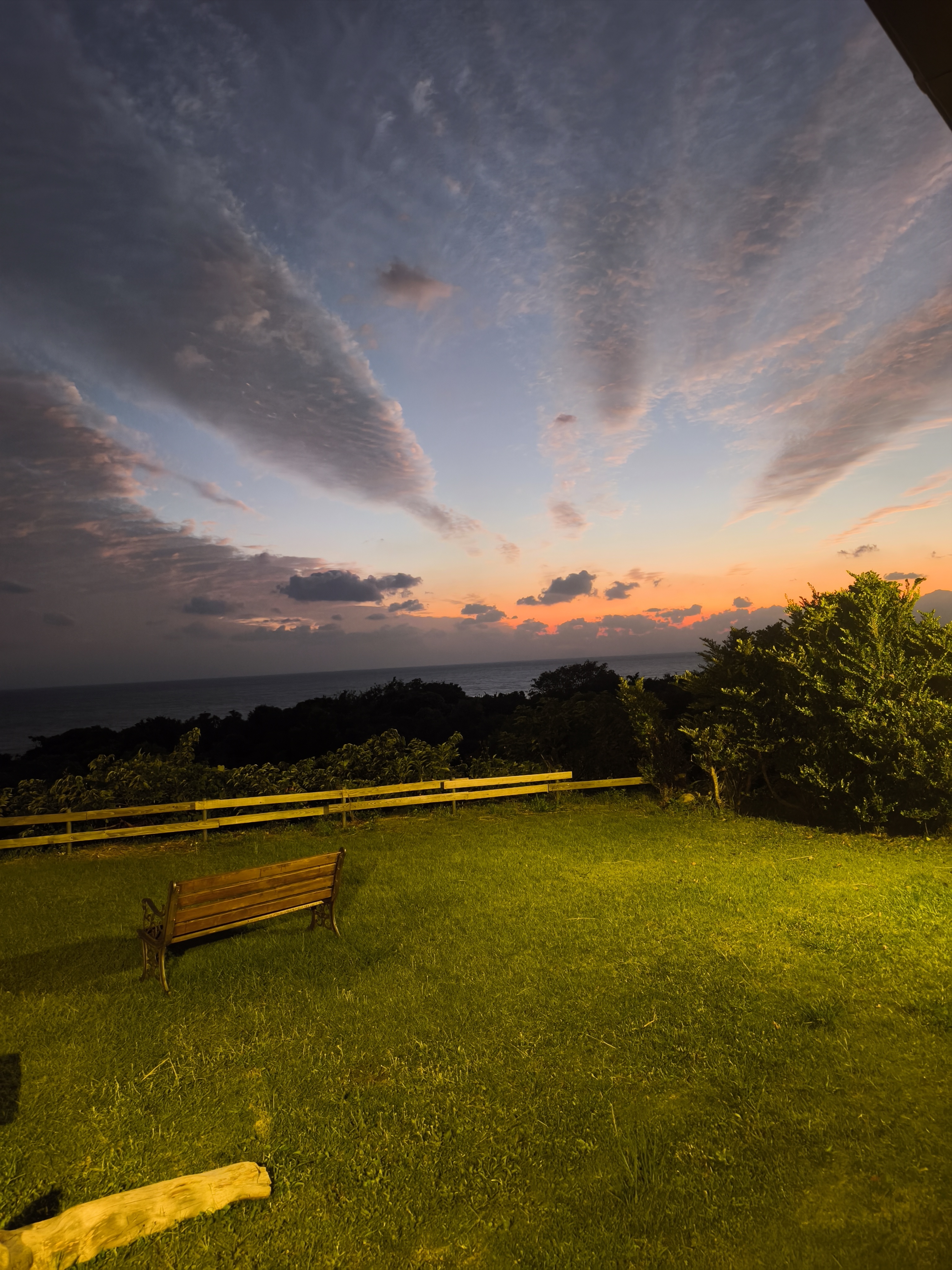 執筆者の写真: TIDA-Re-Ya