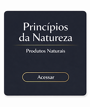 ChatGPT Image 15 de fev. de 2026, 09_38_42.png