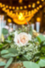 Garden Rose in Runner